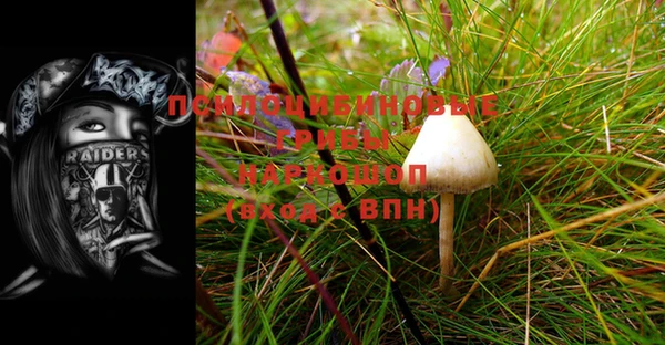 mdpv Баксан